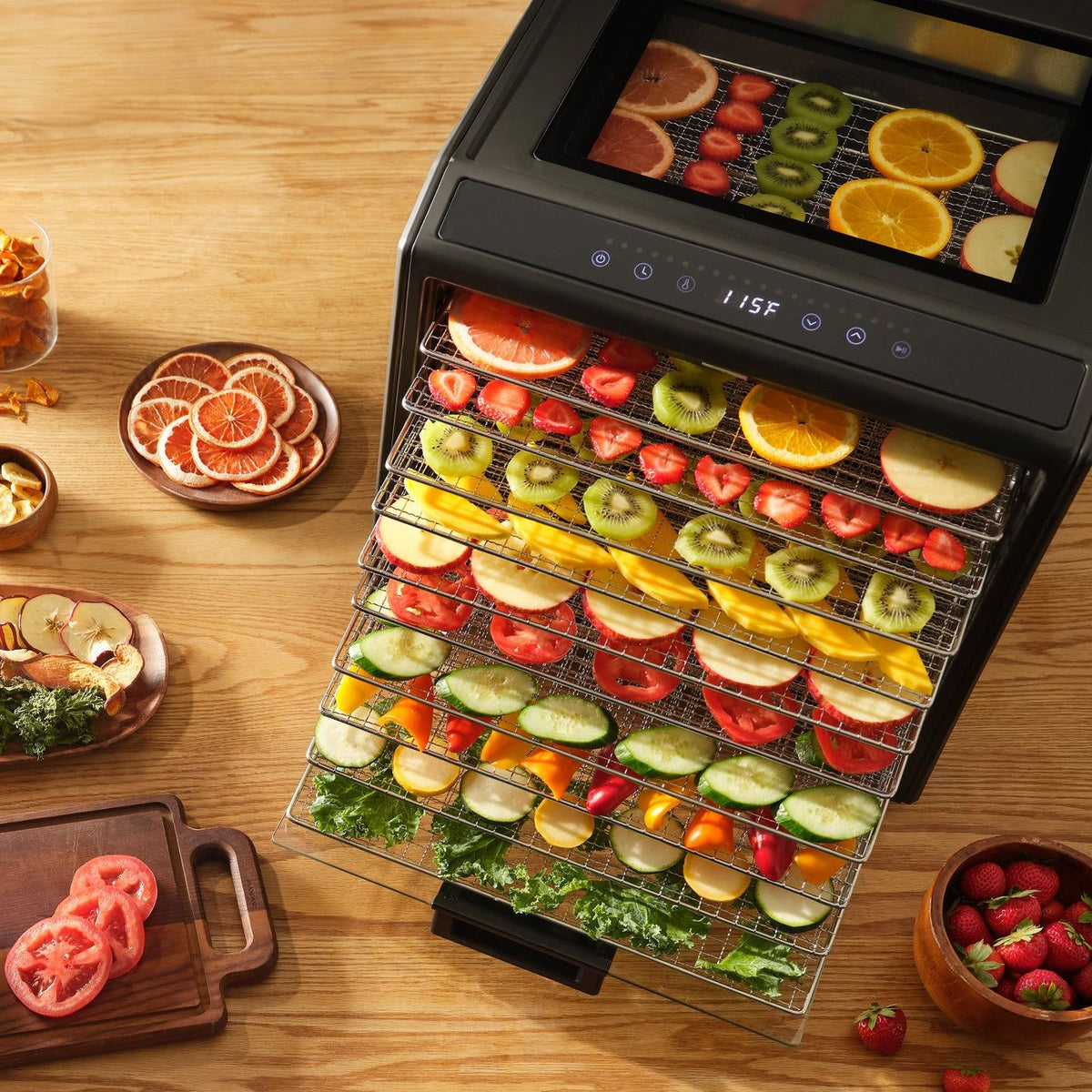 Performance Series 10-Tray Food Dehydrator, Steel, 700W, Stainless Steel, Black V1K6 - product image 7
