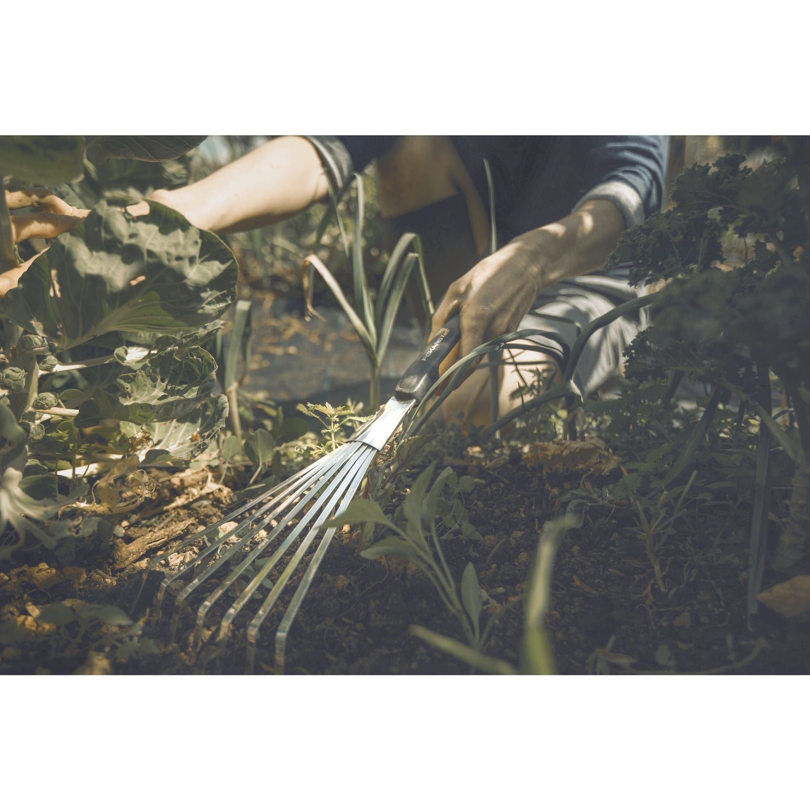 Xact rake C8R1 - product image 4