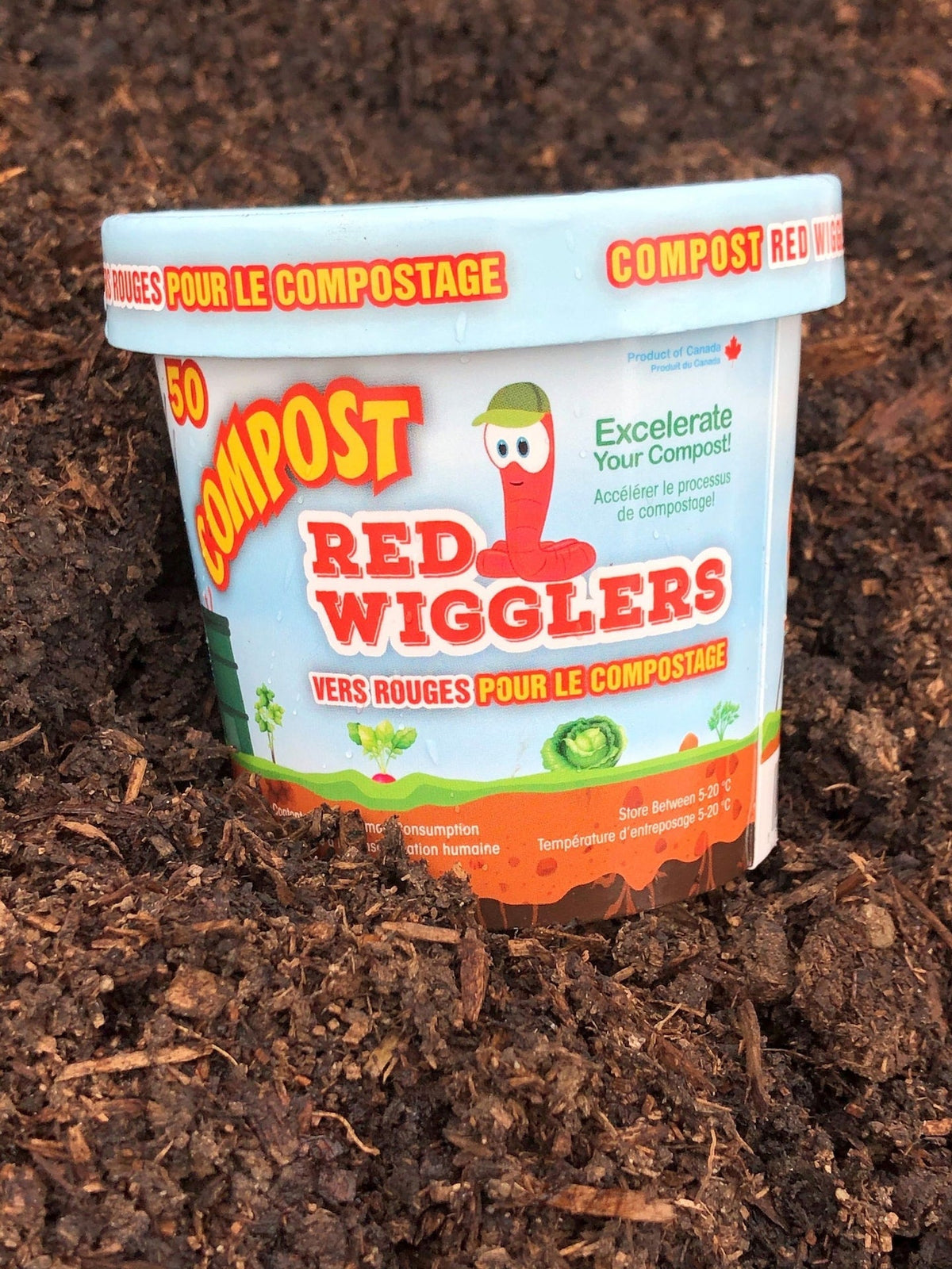 Compost Red Wiggler Live Composting Worms, 50 Count T4X6 - product image 1