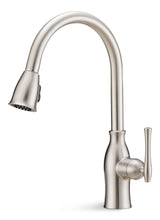 Lisa Single-Handle High Arc Pull-Down Kitchen Faucet, Brushed Nickel K0O7 - product image 1