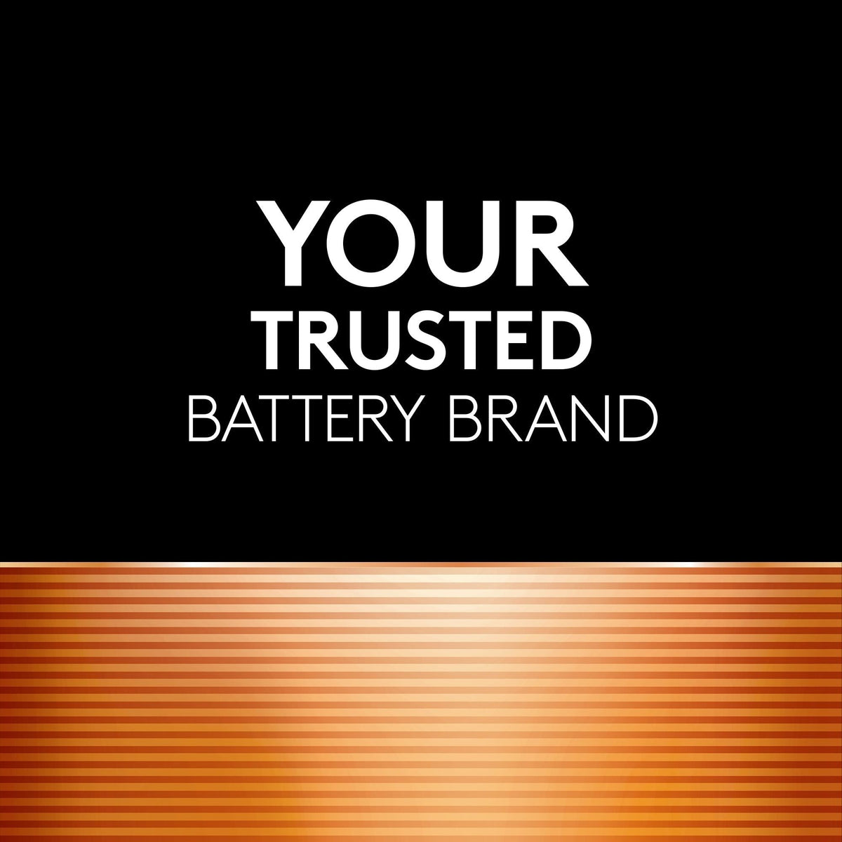 Coppertop AAA Batteries, Alkaline, 4-pk T0H3 - product image 4