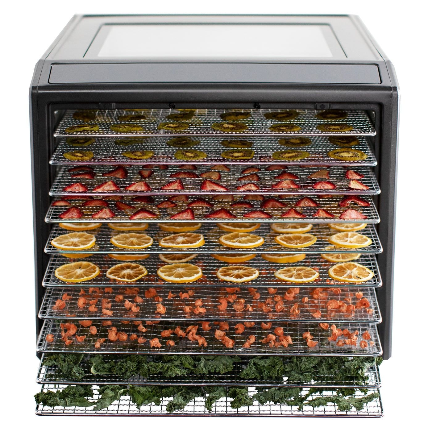 Performance Series 10-Tray Food Dehydrator, Steel, 700W, Stainless Steel, Black V1K6 - product image 4