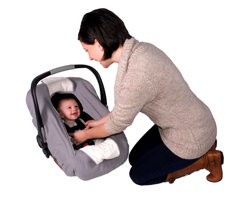 Sneak-A-Peek Infant Car Seat Cover T9J5