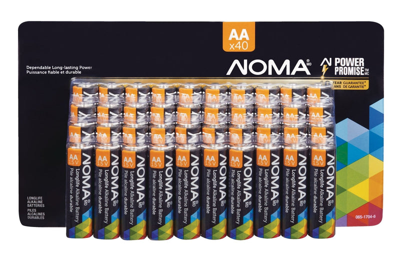 Battery 12-Volt 18 Ah SLA Battery P1F7