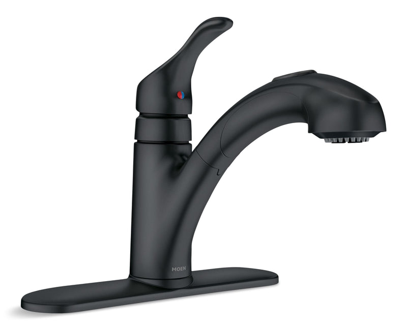 Renzo Single-Handle Pull-Out Kitchen Faucet, Matte Black D6T5