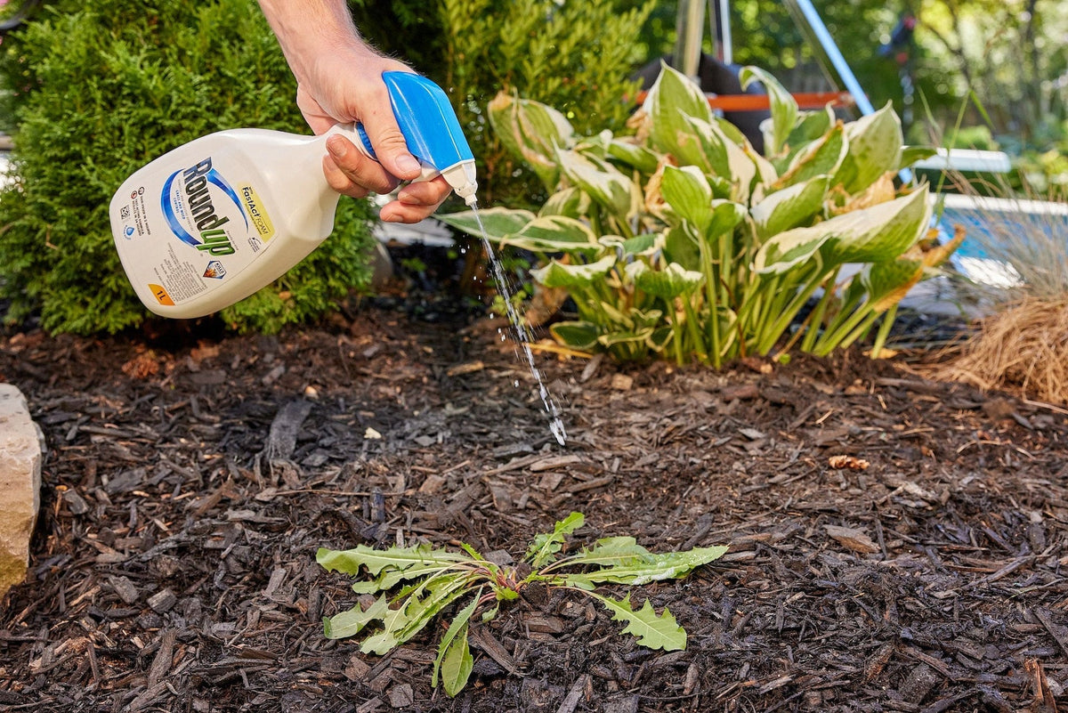 Ready-to-Use Herbicide Grass & Weed Control/Killer with Fast Fact Foam, 1-L V1E3 - product image 4
