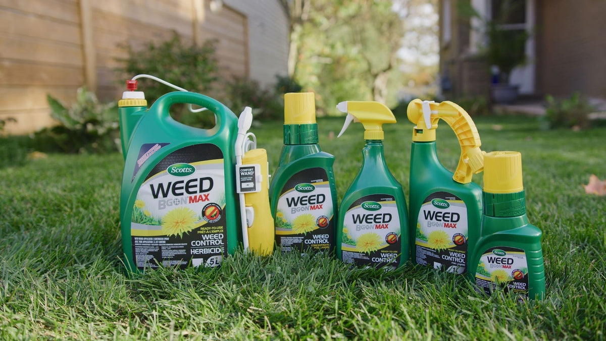 Weed B Gon MAX Ready-to-Use Weed Control/Killer, Herbicide for Lawns, 1-L S0X3 - product image 2