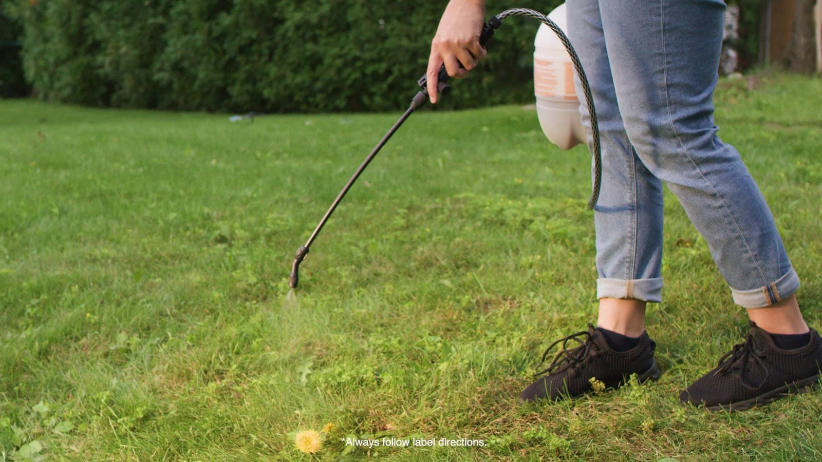 Weed B Gon MAX Weed Control Concentrate for Lawns, 1-L G9A6 - product image 3