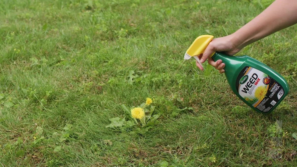 Weed B Gon MAX Weed Control Concentrate for Lawns, 1-L G9A6 - product image 6
